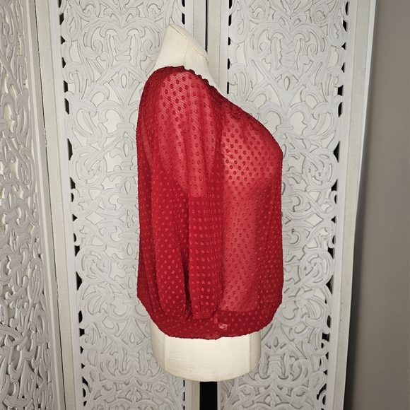 LOFT Red Sheer Swiss Dot Long Sleeve Blouse Size L - Picture 4 of 11